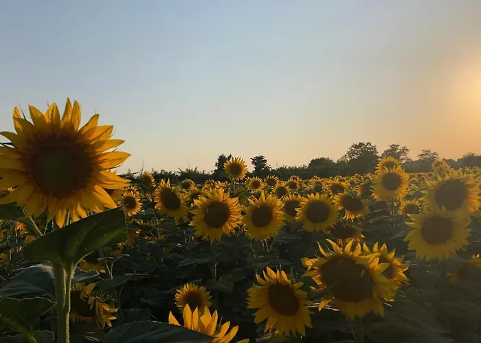 アパート A Tuscan View